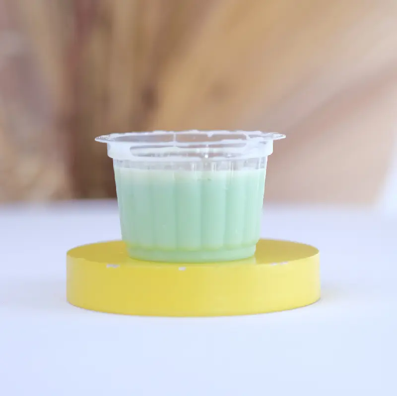 Pudding Cup Melon