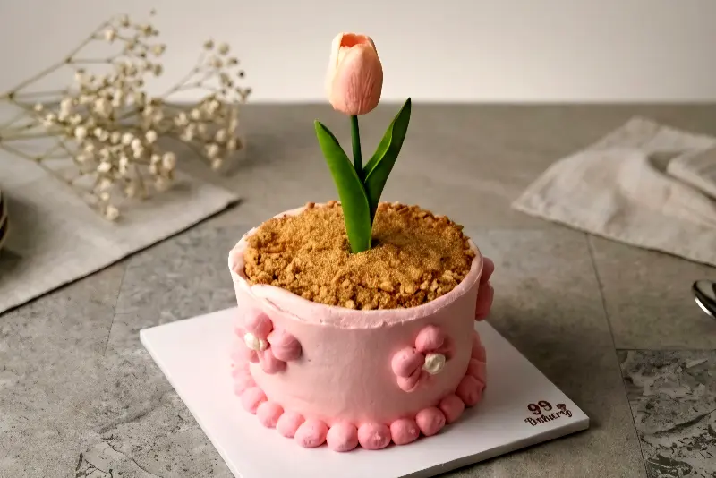 Flower Pot - Family Size Pink Tulip (F4)
